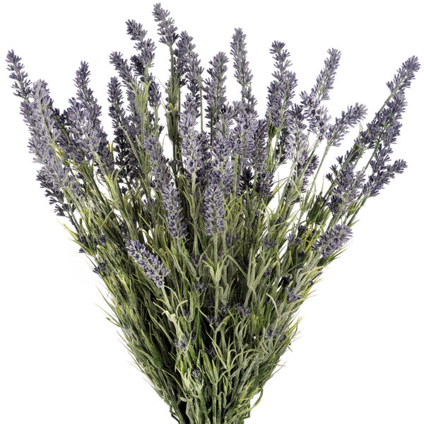 Large Lavender Bush - Image 4