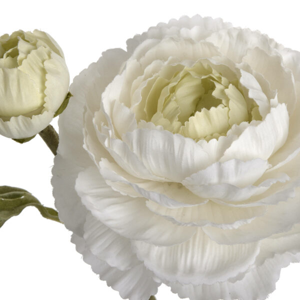 White Ranunculus Spray - Image 5