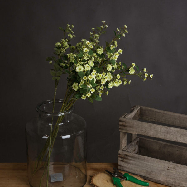 Green Wild Meadow Rose