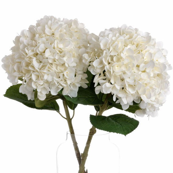 Oversized White Hydrangea