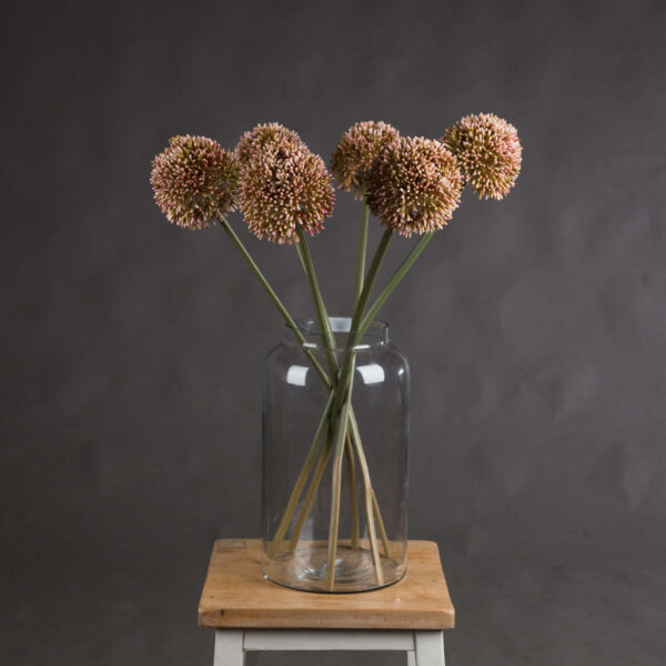 Pink Allium