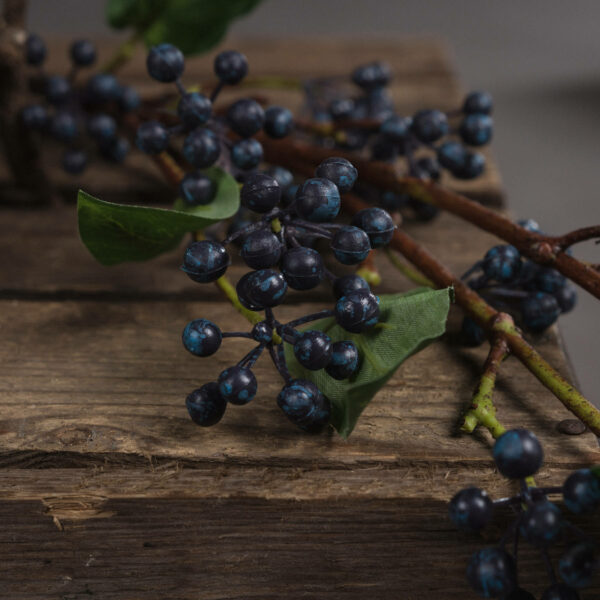 Viburnum Berry - Image 3