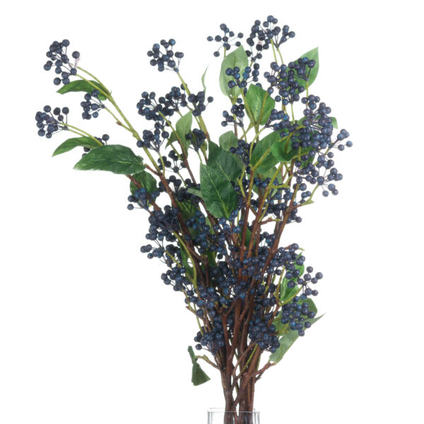 Viburnum Berry - Image 4