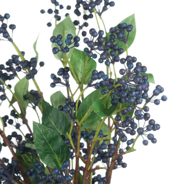 Viburnum Berry - Image 5