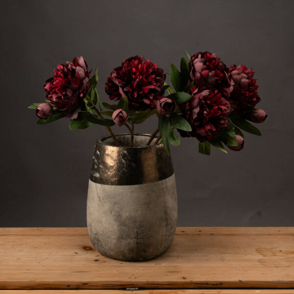 Burgundy Peony Rose