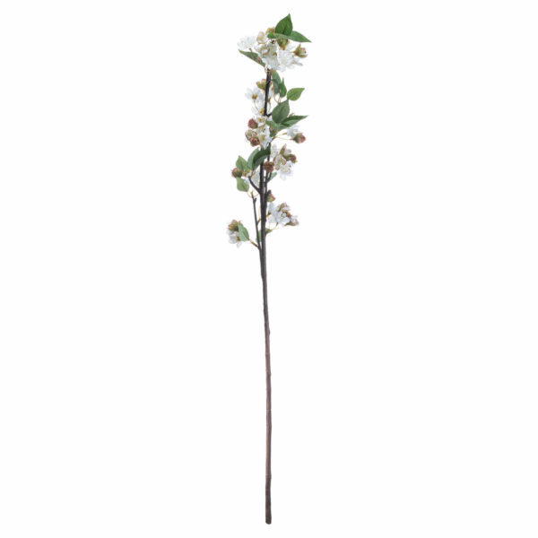 English Blossom Branch