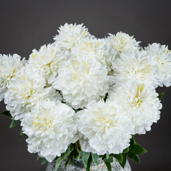 Classic White Peony