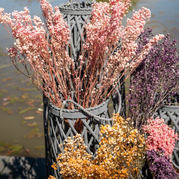 Dried Pale Pink Babys Breath Bunch - Image 4