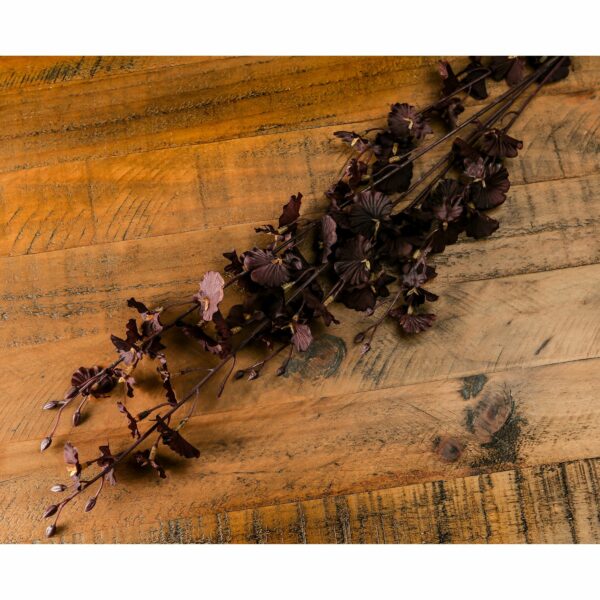 Deep Purple Dancing Orchid Stem - Image 4