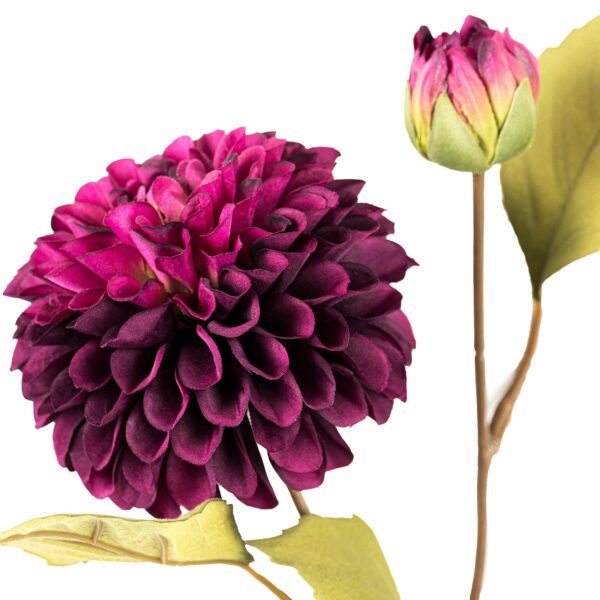 Deep Purple Dahlia Stem - Image 4