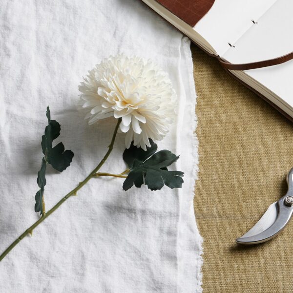 White Short Chrysanthemum - Image 2