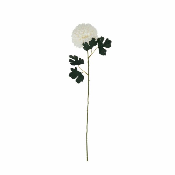 White Short Chrysanthemum