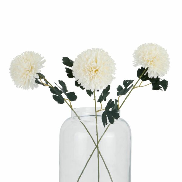 White Short Chrysanthemum - Image 4