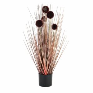 Burgundy Pompom Alliums In Black Pot