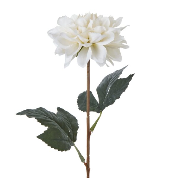 The Natural Garden Collection Tall White Dahlia - Image 2