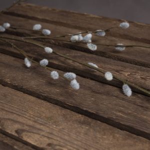 Faux Pussy Willow Branch