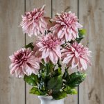 The Natural Garden Collection Pink Dahlia