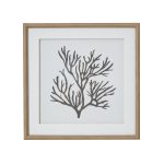 Reef Coral Art Mounted In Beaded Frame