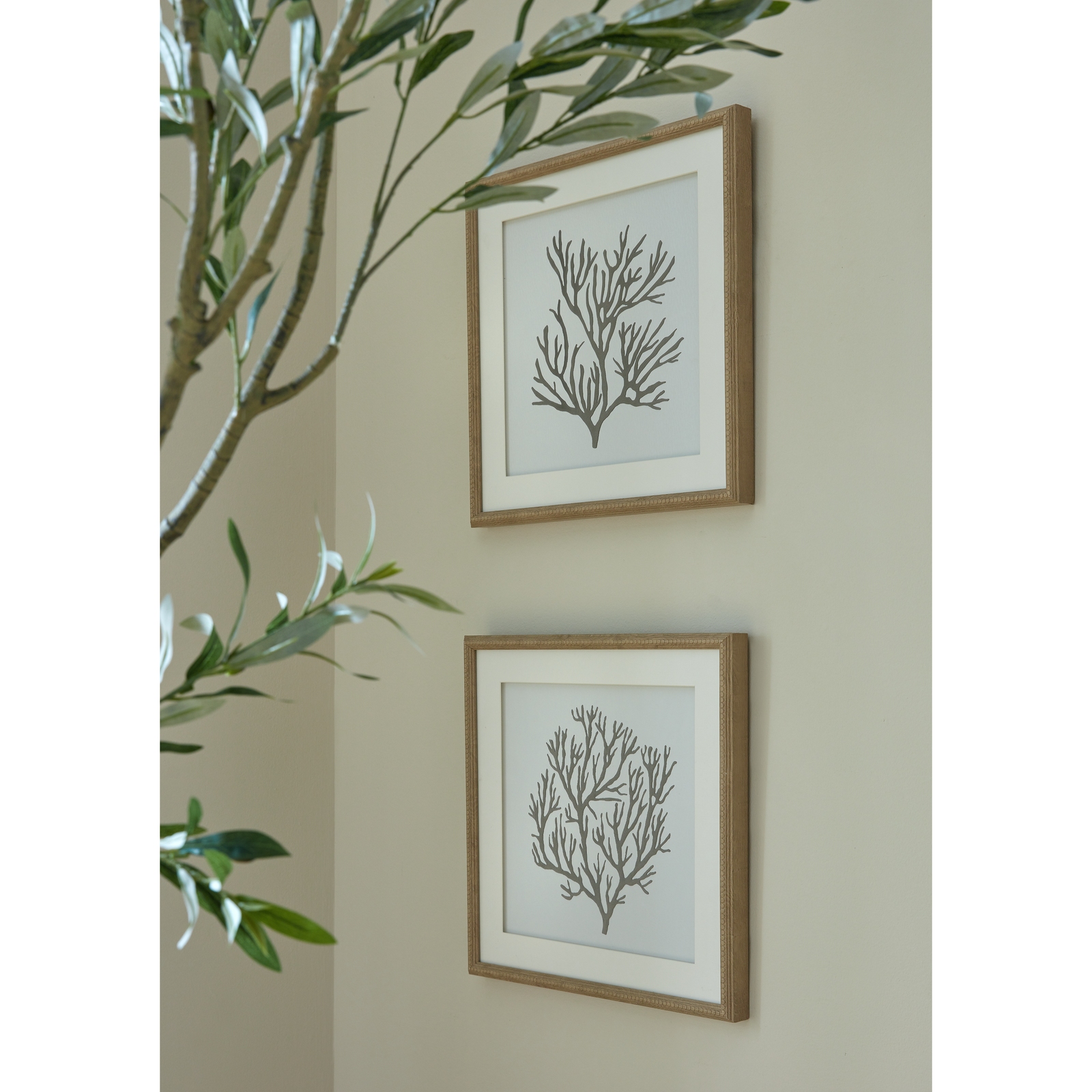 Reef Coral Art Mounted In Beaded Frame - Image 5