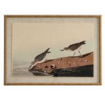 Flora & Fauna Collection Stints On Linen In Beaded Frame