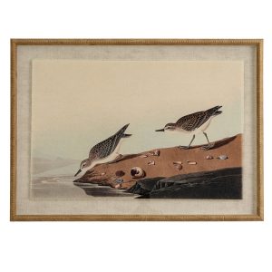 Flora & Fauna Collection Stints On Linen In Beaded Frame